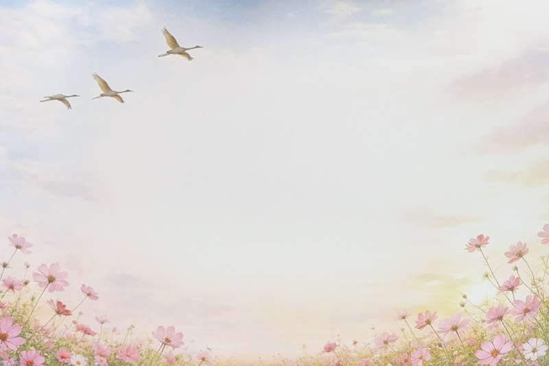 コスモス畑（ブランク）